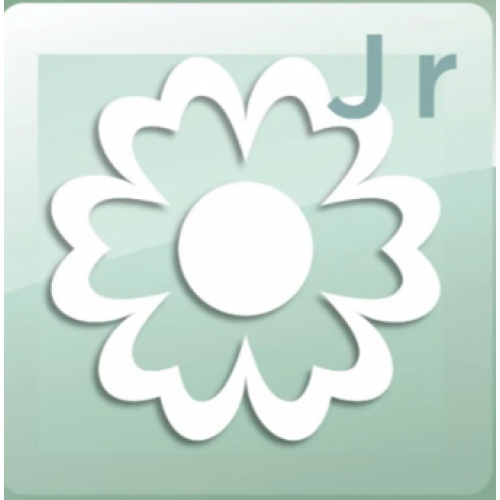 Janome Artistic Digitizer Jr.