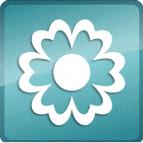 Janome Artistic Digitizer